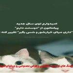 دانلود آهنگ همه میگن از اون آدم خلایی میکشونی من رو آهن ربایی از بهزاد لیتو